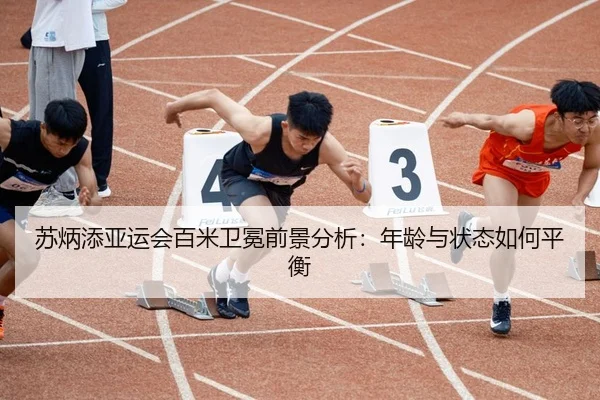 su-bing-tian-ya-yun-hui-bai-mi-wei-mian-qian-jing-fen-xi-nian-ling-yu-zhuang-tai-ru-he-ping-heng-2-833.jpg