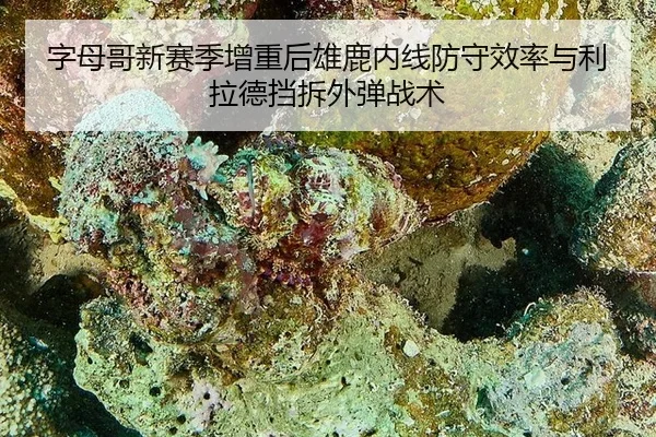 zi-mu-ge-xin-sai-ji-zeng-zhong-hou-xiong-lu-nei-xian-fang-shou-xiao-lv-yu-li-la-de-dang-chai-wai-dan-zhan-shu-3-374.jpg