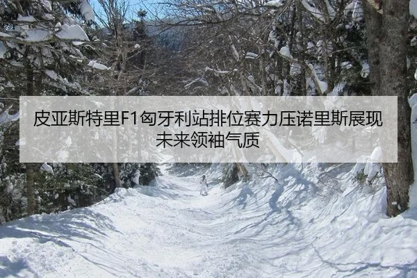 皮亚斯特里F1匈牙利站排位赛力压诺里斯展现未来领袖气质