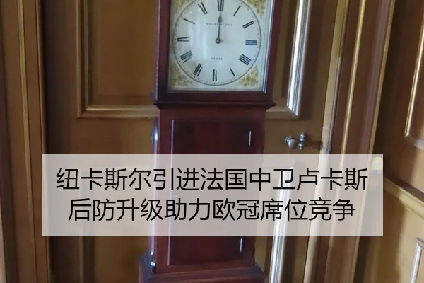 纽卡斯尔引进法国中卫卢卡斯 后防升级助力欧冠席位竞争